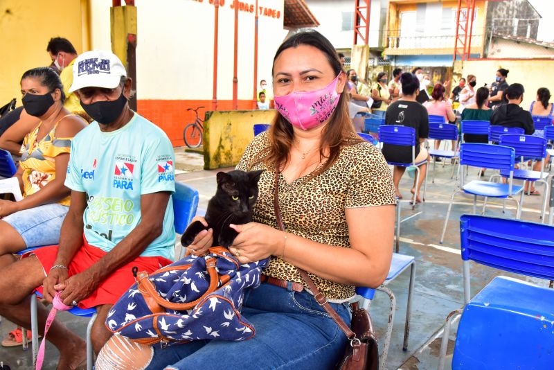 Programa Pet Amigo dia do Gato Area 1 no Julia Seffer