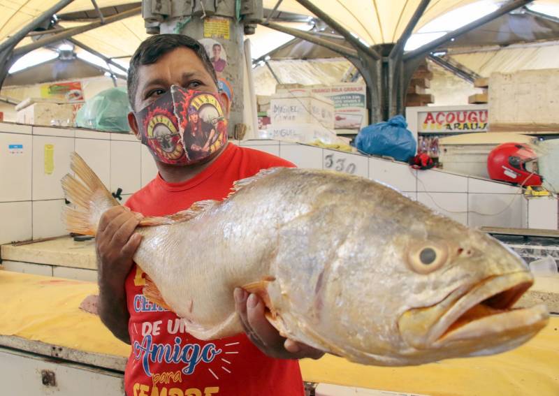 Um dos produtos típicos da região, os peixes são encontrados em diversas espécies nas Feiras e Mercados do município.  