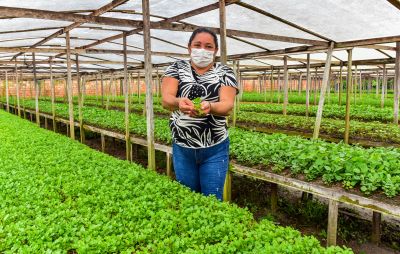 Agricultura Familiar alimenta Ananindeua e a economia com o Varejão Móvel