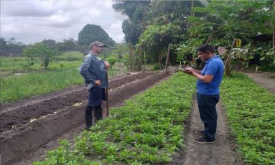 Agricultores familiares do Curuçambá recebem mais apoio técnico da Sedec