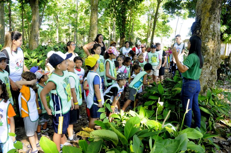 Colônia de Férias no Museu Parque Seringal