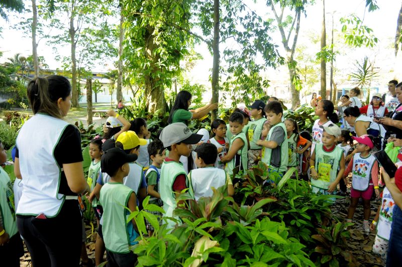 Colônia de Férias no Museu Parque Seringal