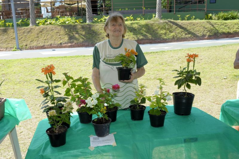 8ª Feira da Agricultura Familiar