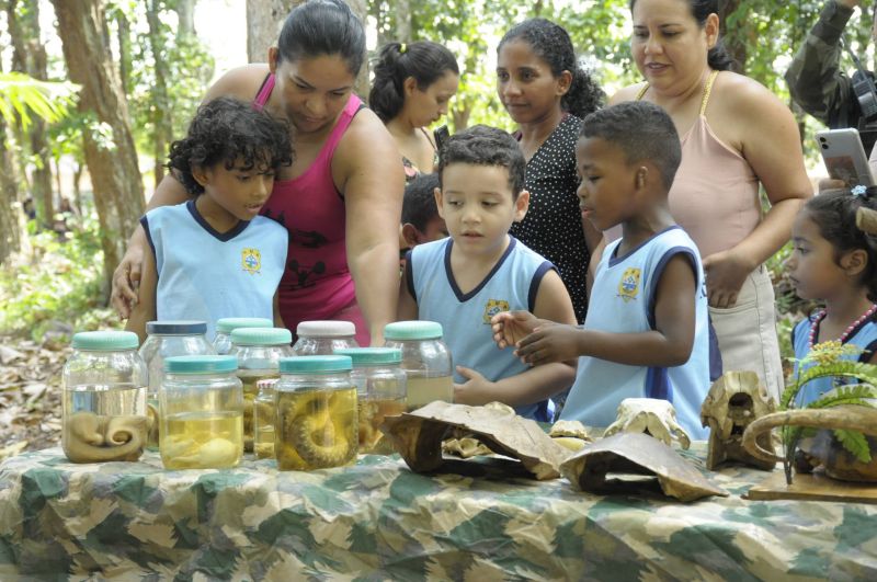 Atividades alusivas ao dia da árvore no Bosque Marajoara no conjunto Júlia Seffer