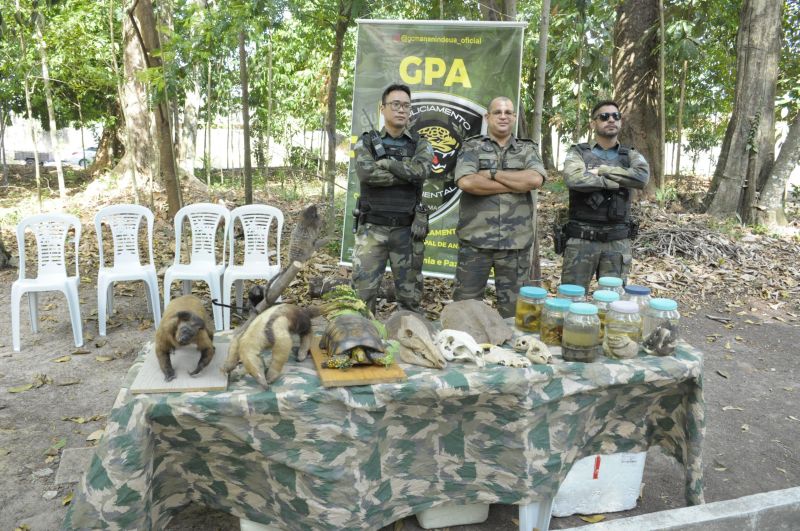 Atividades alusivas ao dia da árvore no Bosque Marajoara no conjunto Júlia Seffer