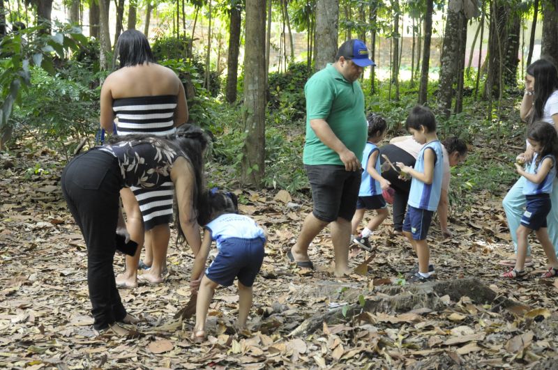 Atividades alusivas ao dia da árvore no Bosque Marajoara no conjunto Júlia Seffer