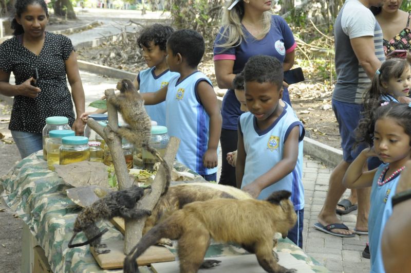 Atividades alusivas ao dia da árvore no Bosque Marajoara no conjunto Júlia Seffer