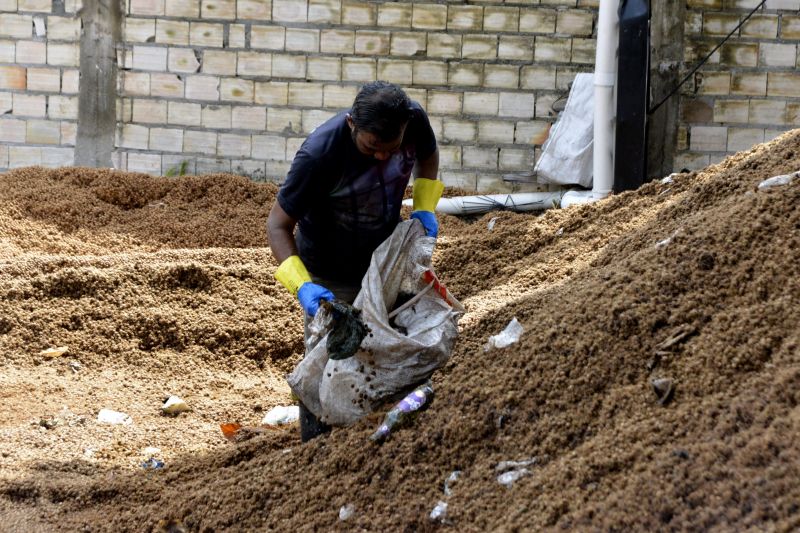 Reciclagem de caroço de Açaí