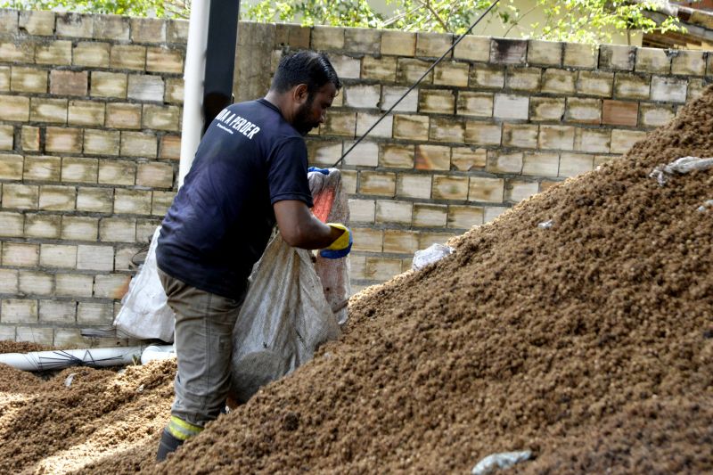 Reciclagem de caroço de Açaí