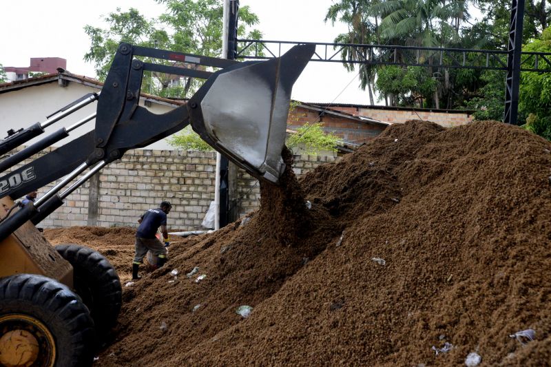 Reciclagem de caroço de Açaí