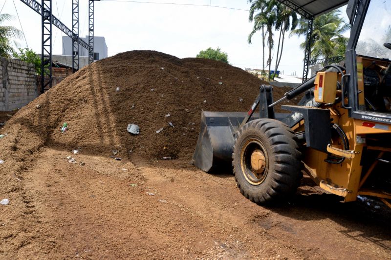 Reciclagem de caroço de Açaí