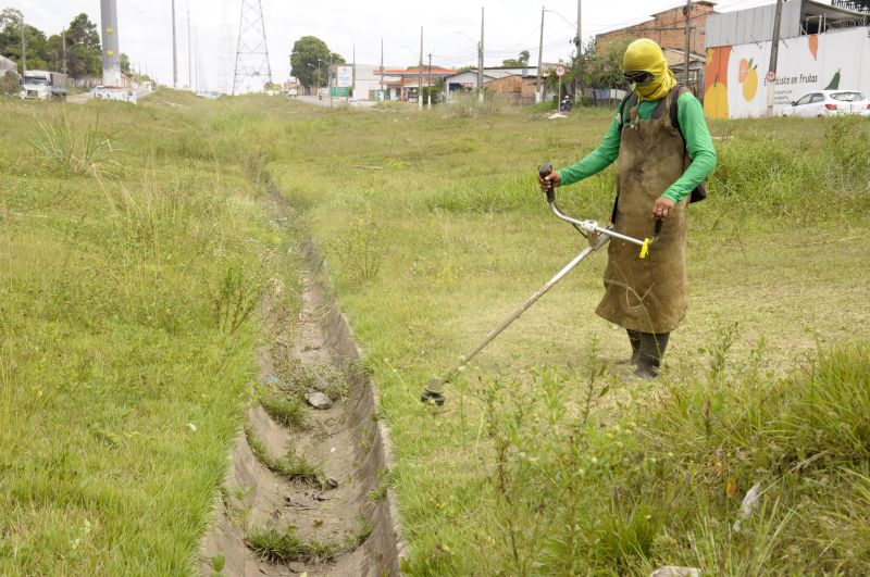 Mutirão da limpeza com novos Colaboradores