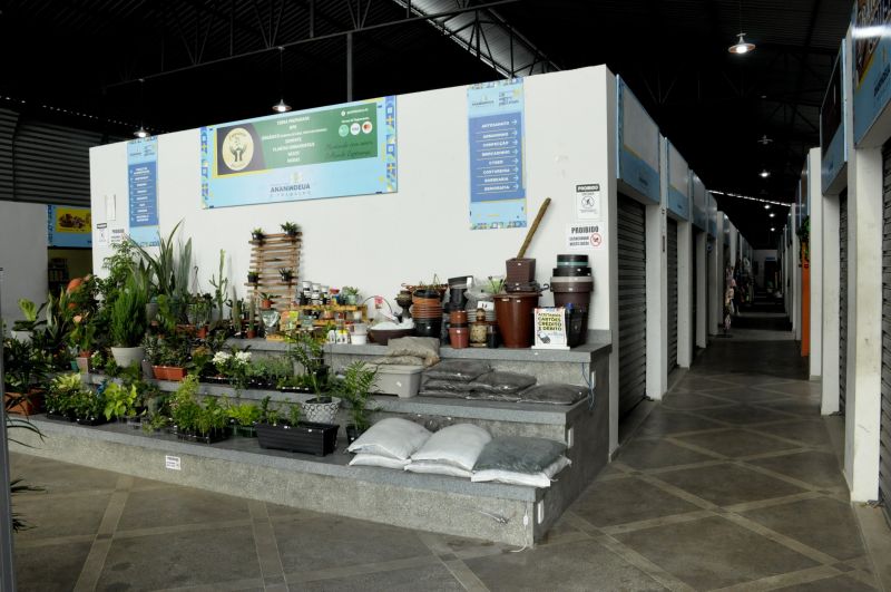 Auxílio Feirante no Mercado Municipal da Independência - Centro