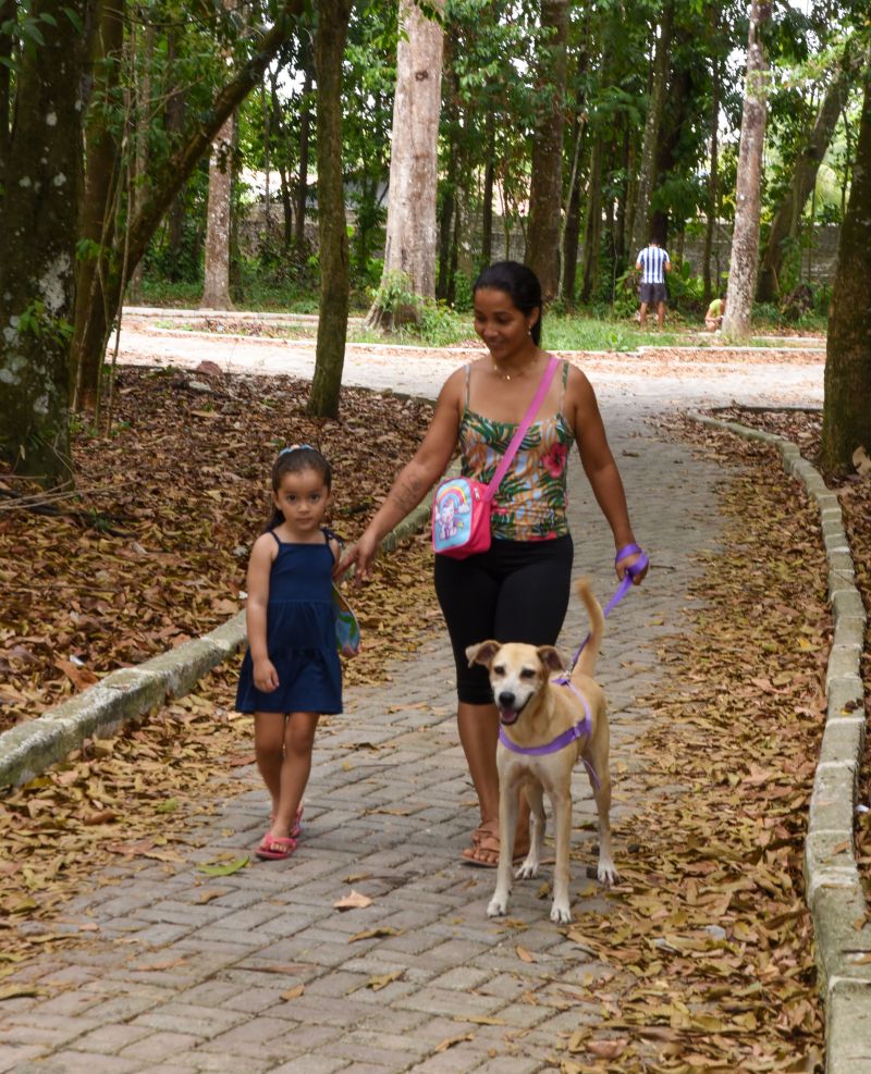 Vacinação de Pets, cães e gatos no Bosque Uirapuru no conjunto Julia Seffer