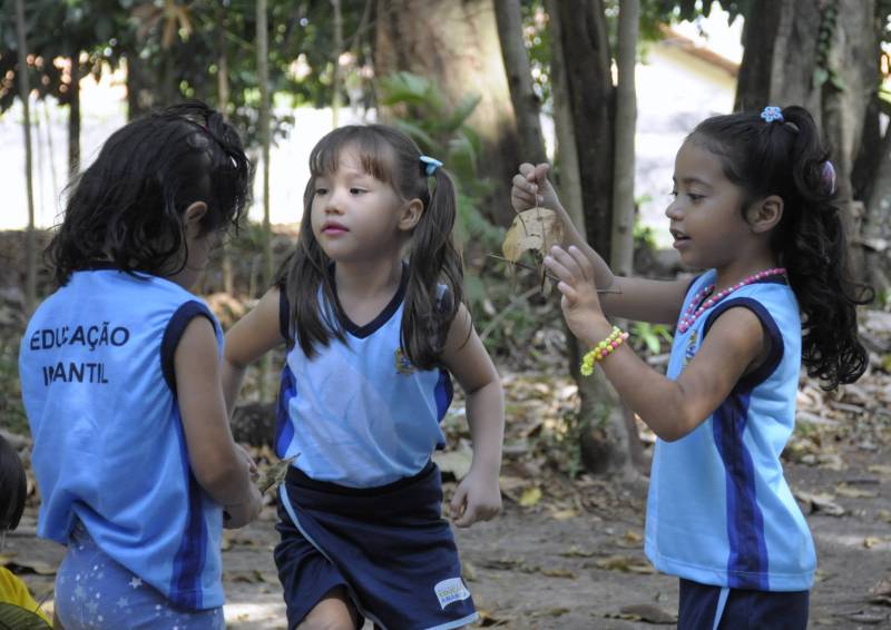 Dia da Árvore é celebrado com atividades no Bosque Marajoara