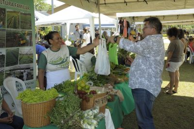 Galeria: 8ª Feira da Agricultura Familiar