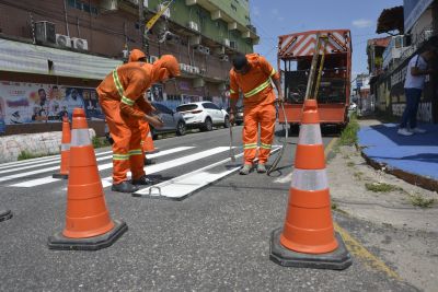 Galeria: Serviço de sinalização da via SN 17