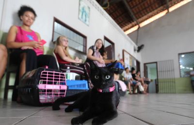 Castramóvel realiza semana de atendimento para os Pets no Maguari