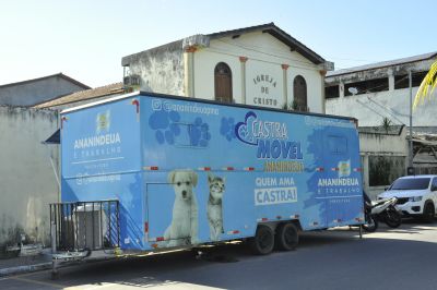 Cães e gatos são castrados gratuitamente no Atalaia pelo programa Pet Amigo 