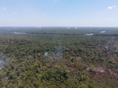 Incêndio na Ilha João Pilatos: Prefeitura de Ananindeua realiza ação de fiscalização e leva serviços aos moradores da região