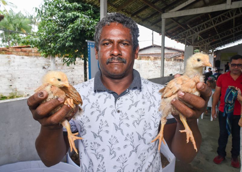 Entrega de matrizes de aves e ração para Agricultores e Quilombos das Ilhas de Ananindeua