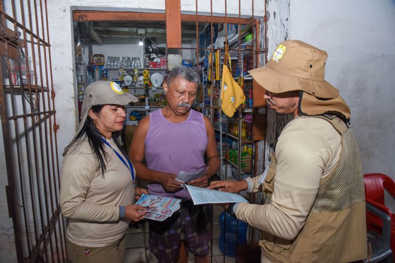 Agentes no combate a dengue