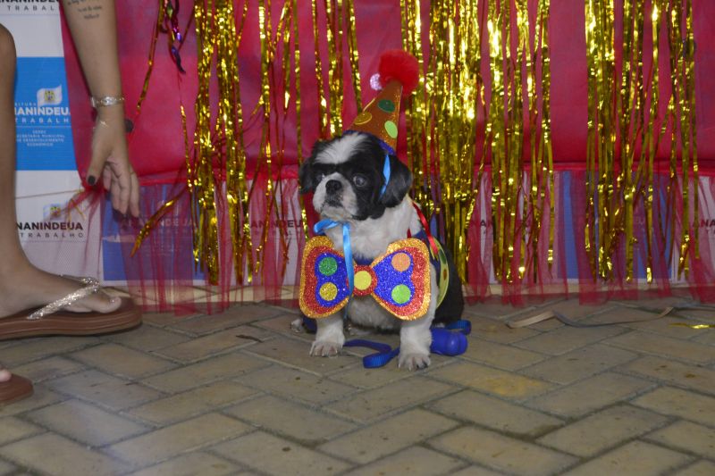 Desfile de Carnaval dos Pets na feira do artesanato