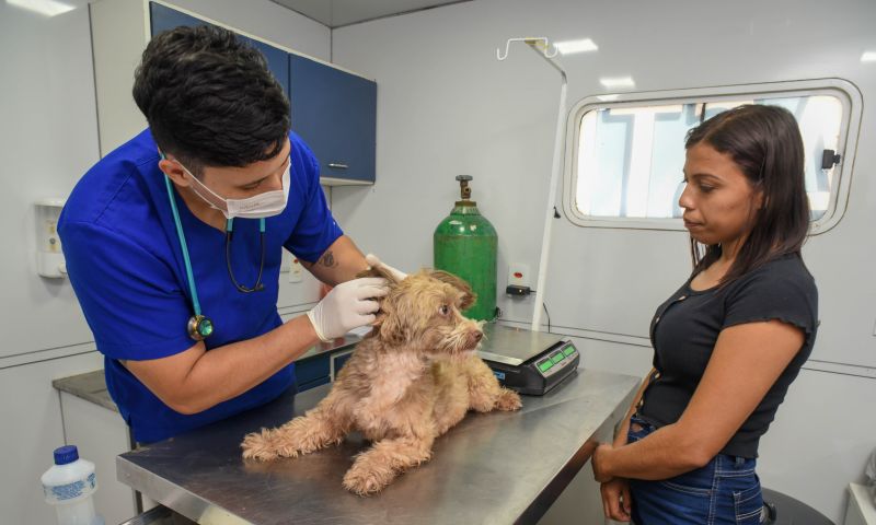 Ação do Programa Prefeitura em Movimento na Arterial 18