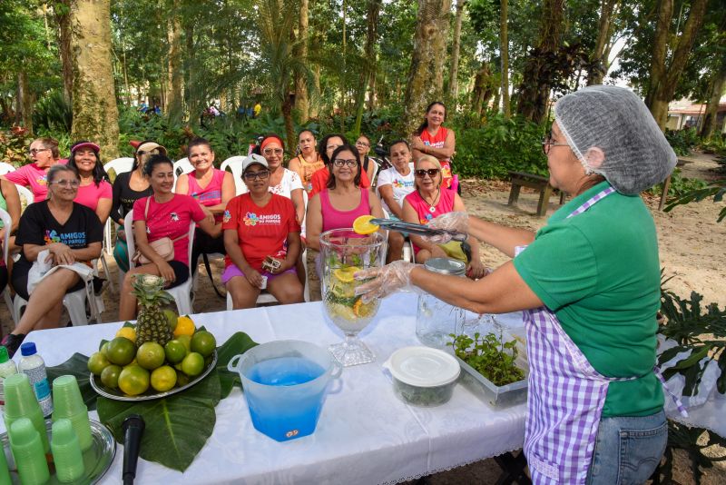 Educação Ambiental e Sustentabilidade no Parque Seringal