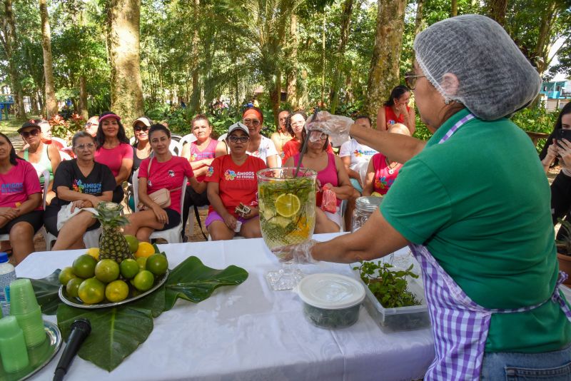 Educação Ambiental e Sustentabilidade no Parque Seringal