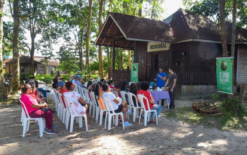 Educação Ambiental e Sustentabilidade no Parque Seringal