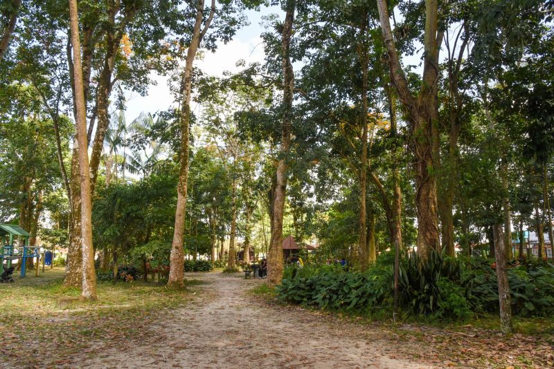 Educação Ambiental e Sustentabilidade no Parque Seringal