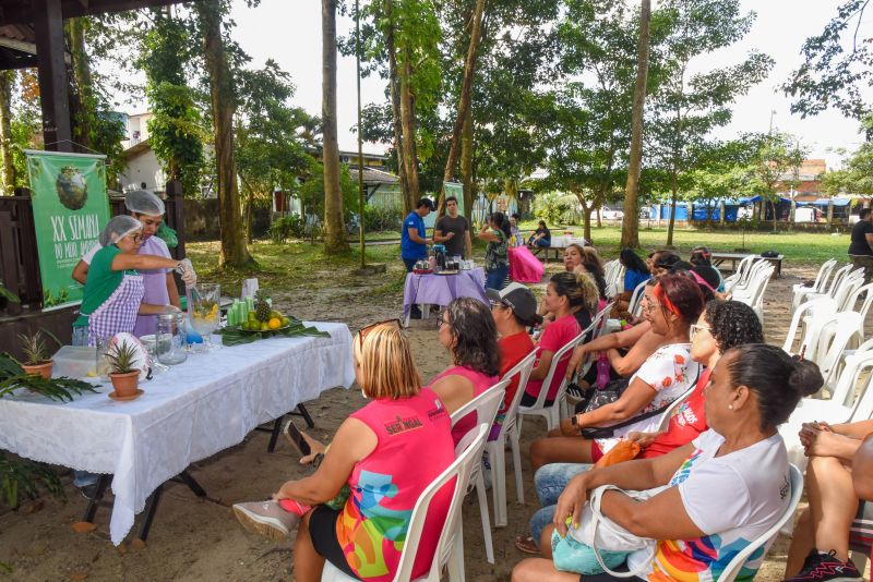 Educação Ambiental e Sustentabilidade no Parque Seringal
