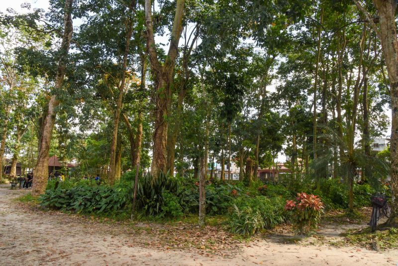 Educação Ambiental e Sustentabilidade no Parque Seringal