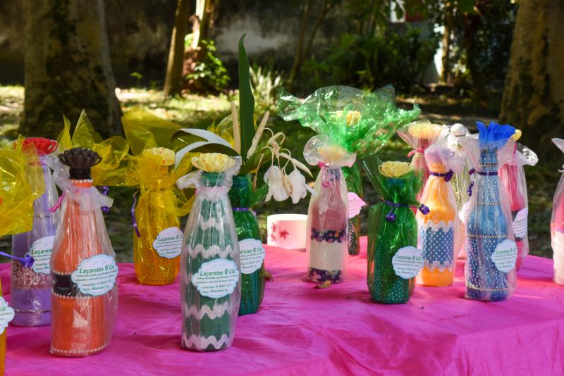 Educação Ambiental e Sustentabilidade no Parque Seringal