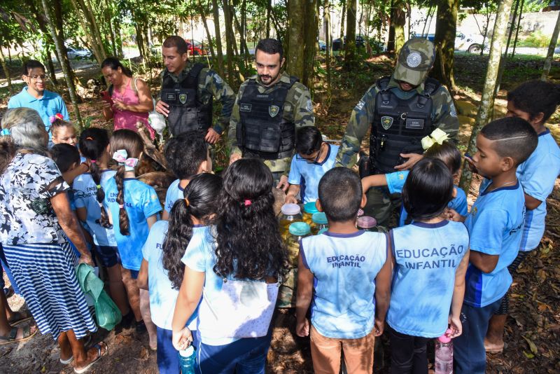 Festival da Sustentabilidade no Bosque Marajoara no Conjunto Júlia Seffer