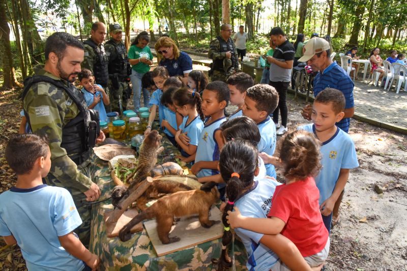 Festival da Sustentabilidade no Bosque Marajoara no Conjunto Júlia Seffer