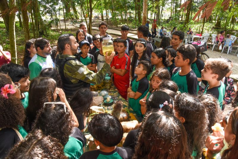 Festival da Sustentabilidade no Bosque Marajoara no Conjunto Júlia Seffer