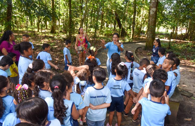 Festival da Sustentabilidade no Bosque Marajoara no Conjunto Júlia Seffer