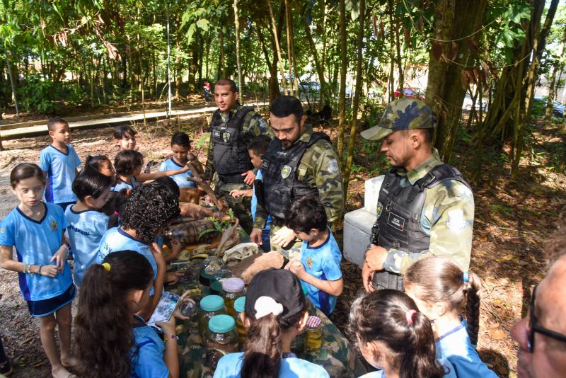 Festival da Sustentabilidade no Bosque Marajoara no Conjunto Júlia Seffer