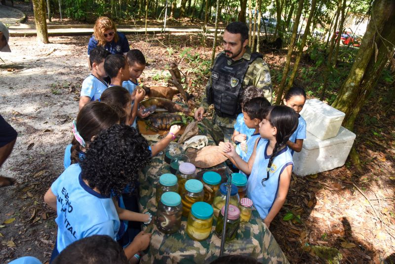 Festival da Sustentabilidade no Bosque Marajoara no Conjunto Júlia Seffer