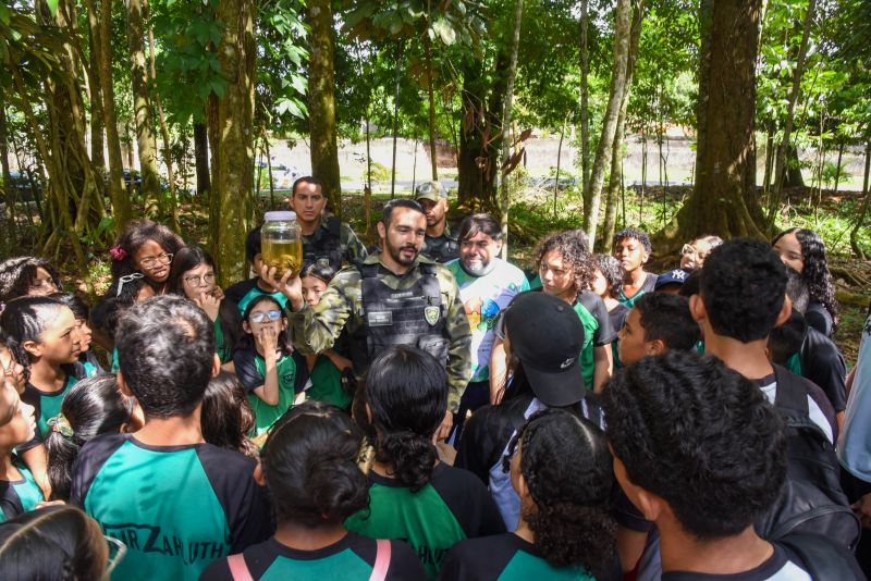 Festival da Sustentabilidade no Bosque Marajoara no Conjunto Júlia Seffer