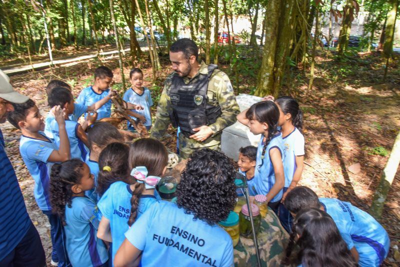 Festival da Sustentabilidade no Bosque Marajoara no Conjunto Júlia Seffer