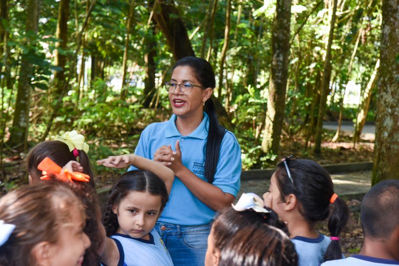 Festival da Sustentabilidade no Bosque Marajoara no Conjunto Júlia Seffer