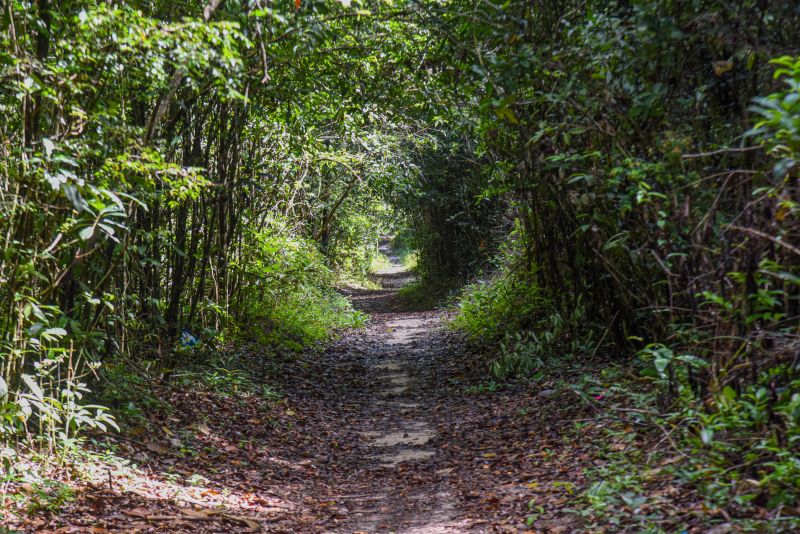 Eco trilha na Ilha de João Pilatos