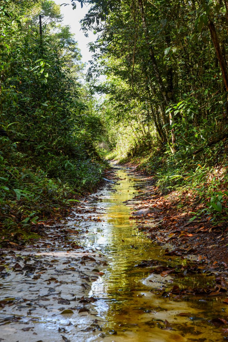Eco trilha na Ilha de João Pilatos