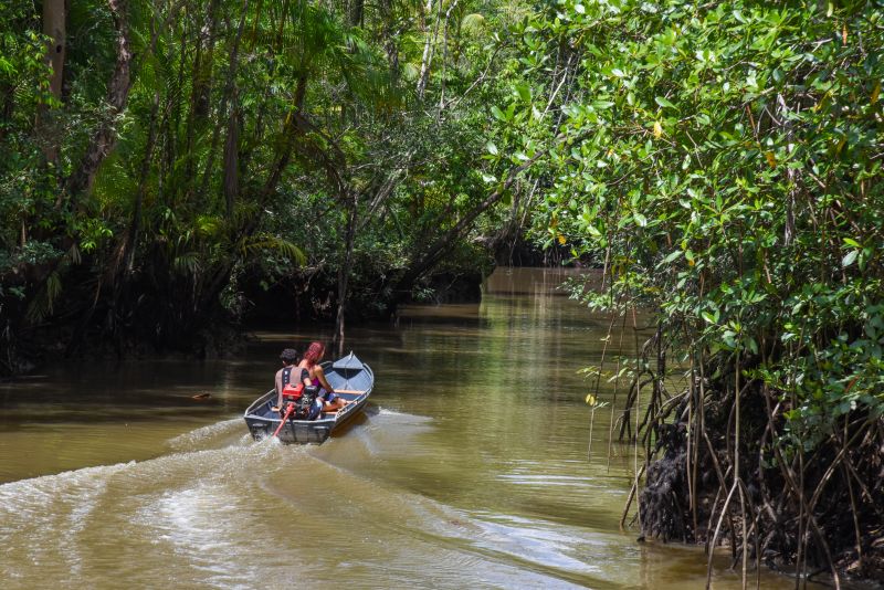 Eco trilha na Ilha de João Pilatos