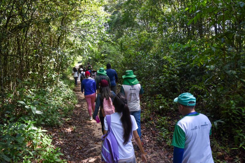 Eco trilha na Ilha de João Pilatos