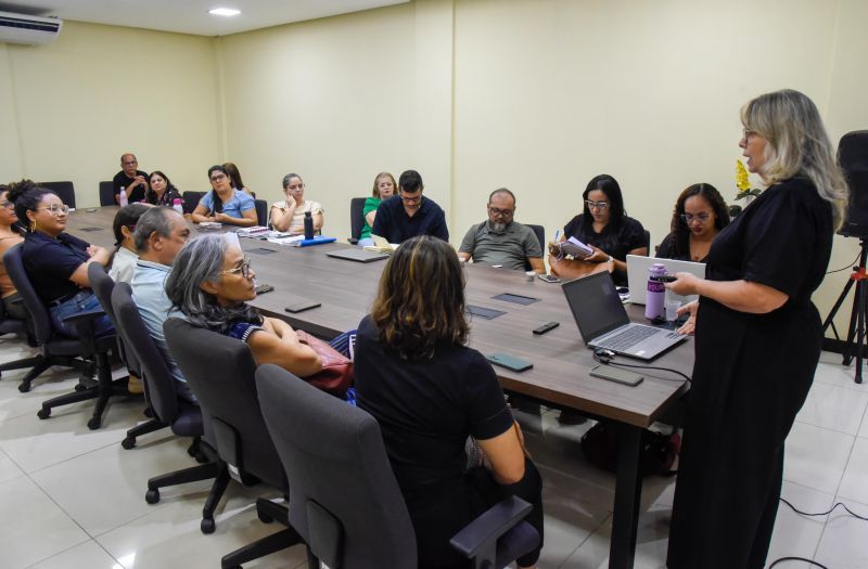 1º Dia de oficinas temáticas diretrizes econômicas e ambientais para o PPA 2026-2029 e LOA 2026 em Ananindeua