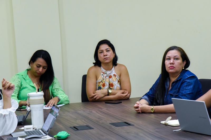 2º Dia de oficinas temáticas diretrizes econômicas e ambientais para o PPA 2026-2029 e LOA 2026 em Ananindeua